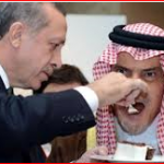 Turkish PM Feed cake