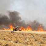 Man attempts to harvest wheat from a field on fire in Ma'arat Masrein, north of Idlib