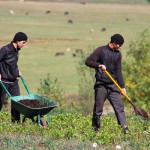 ATP-Workers-in-Reforestation-Nursery