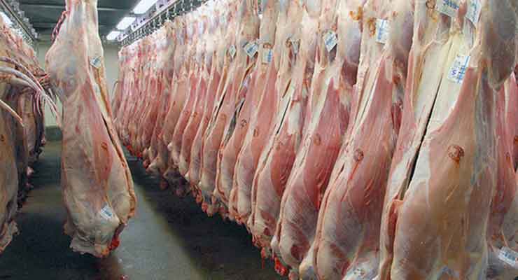 Armenian meat products and live cattle to Qatar