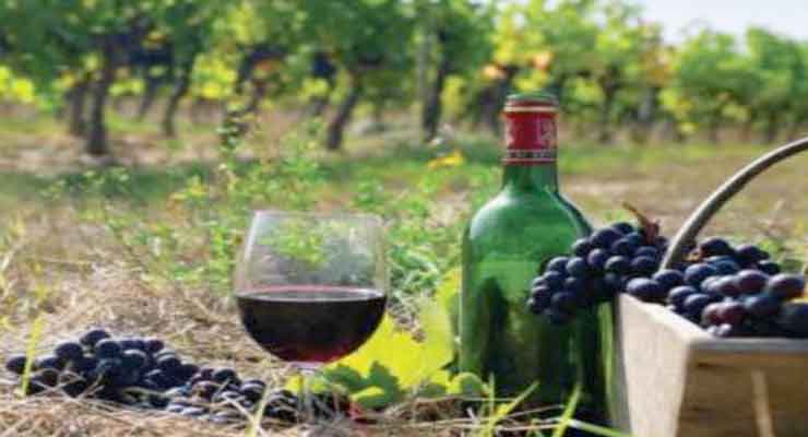 Armenian wines were tasted in Washington 