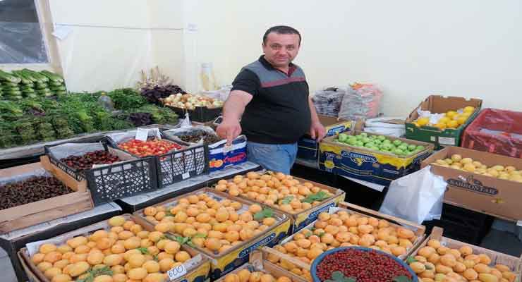 The Armenian apricot mafia