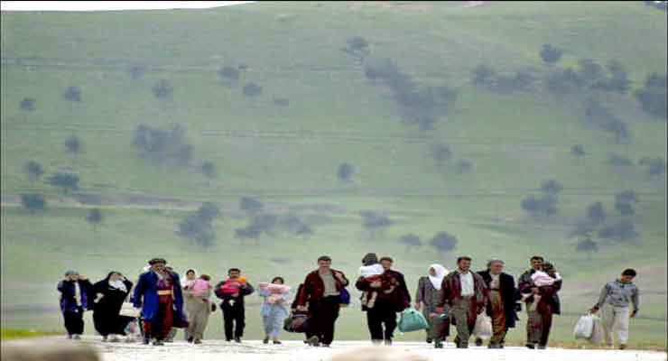 Iraqi Kurds resume immigration 