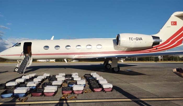Brazilian Authorities Seize 1 3 Tons Of Cocaine On Private Turkish Jet